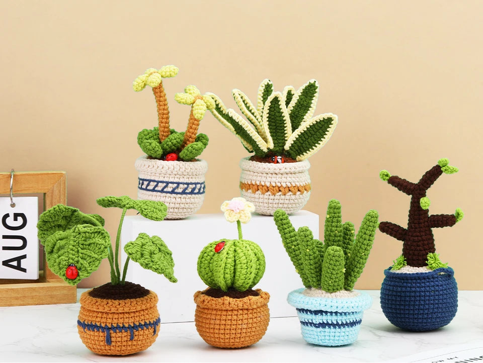 6 Piece Plant Succulent Set - DIY Beginners Crochet Kit