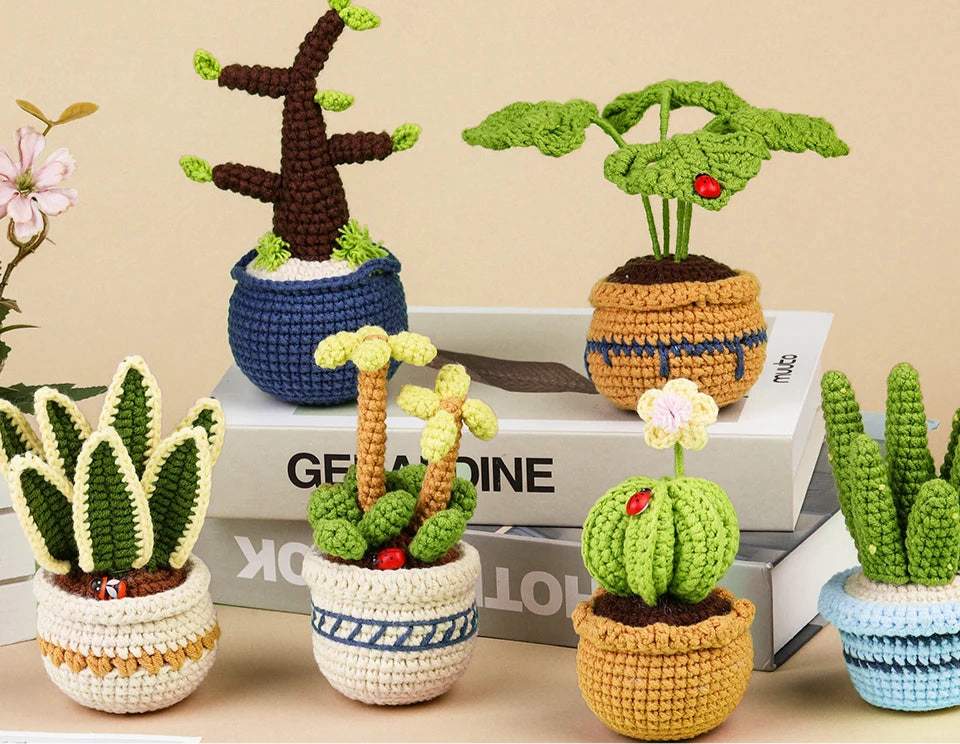 6 Piece Plant Succulent Set - DIY Beginners Crochet Kit