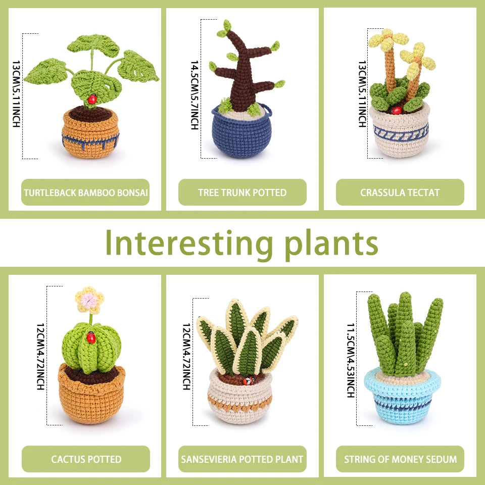 6 Piece Plant Succulent Set - DIY Beginners Crochet Kit