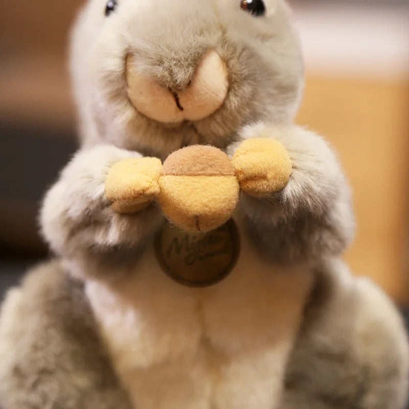 20cm Realistic Grey Squirrel Plush Soft Toy Holding Acorn