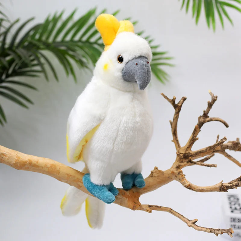 Lifelike Bird Plush 20-30cm–Parrot, Peacock, Pelican, Eagle, Cockatoo, Vulture & More Soft Toys