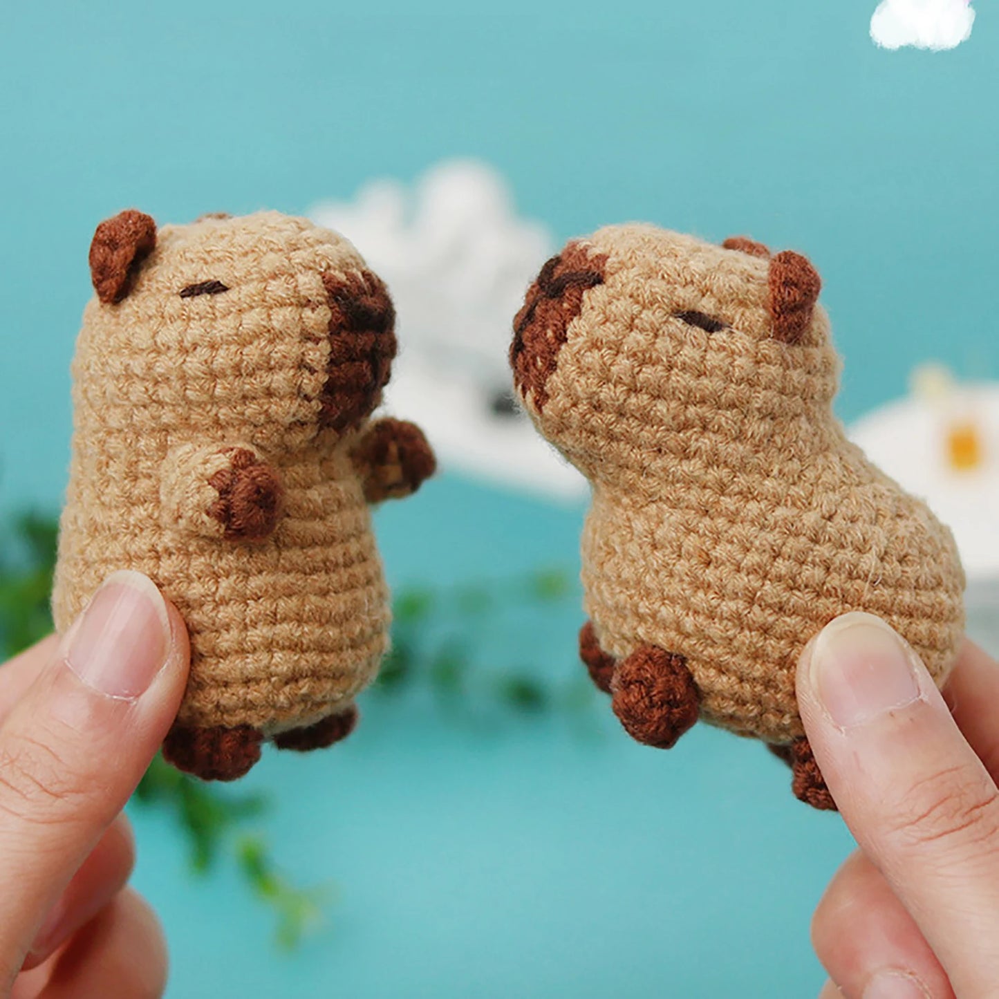 Capybara DIY Crochet Kits, Cute Animal Crochet Craft Kit Set for Beginners