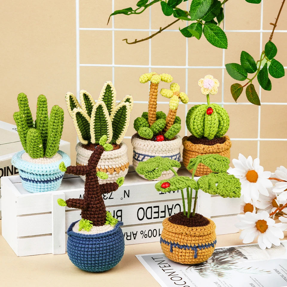 6 Piece Plant Succulent Set - DIY Beginners Crochet Kit