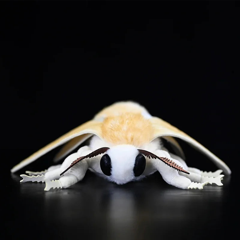 27cm Silkworm Moth Plush Soft Toy Cute Realistic Insect Bug Animal