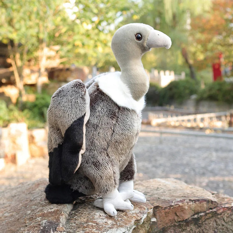 Lifelike Bird Plush 20-30cm–Parrot, Peacock, Pelican, Eagle, Cockatoo, Vulture & More Soft Toys