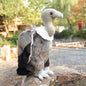 Lifelike Bird Plush 20-30cm–Parrot, Peacock, Pelican, Eagle, Cockatoo, Vulture & More Soft Toys