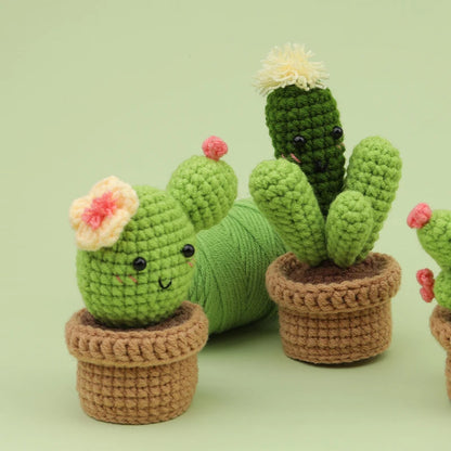 3/6pcs DIY Beginners Plant Succulent Crochet Starter Kit