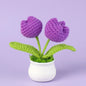 Crochet Knitted Artificial Flower Plant in Pot - Hand Woven Potted Desk Desktop Home Decor Gift Ornament