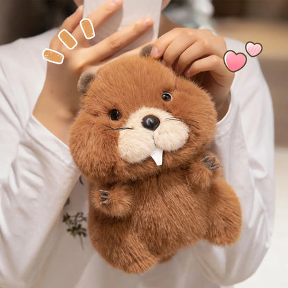 22-35cm Marmot Plush Soft Toy – Chubby Groundhog Plushie