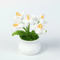 Crochet Knitted Artificial Flower Plant in Pot - Hand Woven Potted Desk Desktop Home Decor Gift Ornament