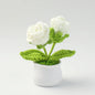 Crochet Knitted Artificial Flower Plant in Pot - Hand Woven Potted Desk Desktop Home Decor Gift Ornament