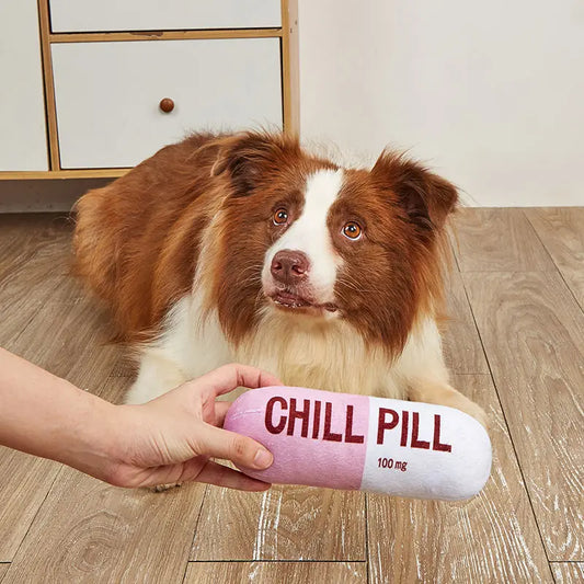 Funny Squeaky Dog Toy Chill Pill Tablet Shaped Pet Dog Plush Toy Gift Comedy Silly
