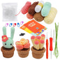3/6pcs DIY Beginners Plant Succulent Crochet Starter Kit