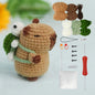 Capybara DIY Crochet Kits, Cute Animal Crochet Craft Kit Set for Beginners