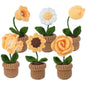DIY Crochet Potted Flower Kit – Make 6 Plants Yellow / Red / Pink Flowers