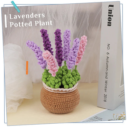DIY Beginners Crochet Potted Flower Plant Kit – Lavender,Tulips, Daisies, Sunflowers