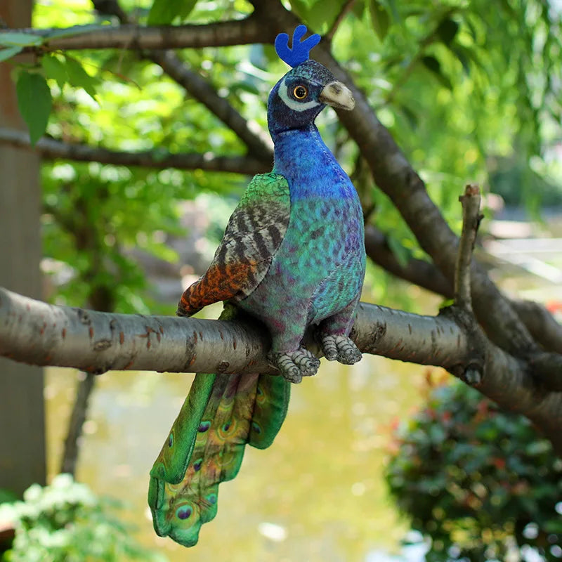 Lifelike Bird Plush 20-30cm–Parrot, Peacock, Pelican, Eagle, Cockatoo, Vulture & More Soft Toys