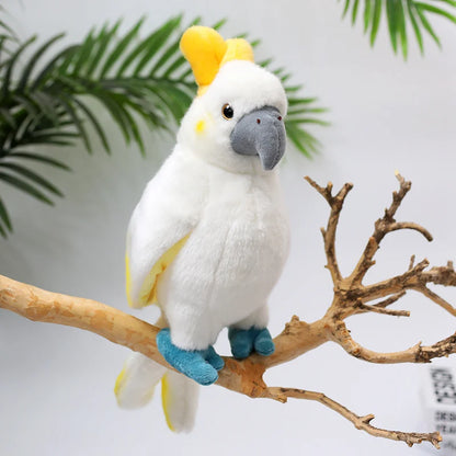 Lifelike Bird Plush 20-30cm–Parrot, Peacock, Pelican, Eagle, Cockatoo, Vulture & More Soft Toys