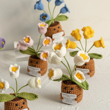 Crochet Knitted Flower Plant Pot - Desktop Emotional Support Gift Positivity Words of Encouragement Ornament - Perfect Gift