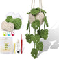Crochet Hanging Plant Kit for Beginners – Includes Yarn, Tools & Video Tutorial