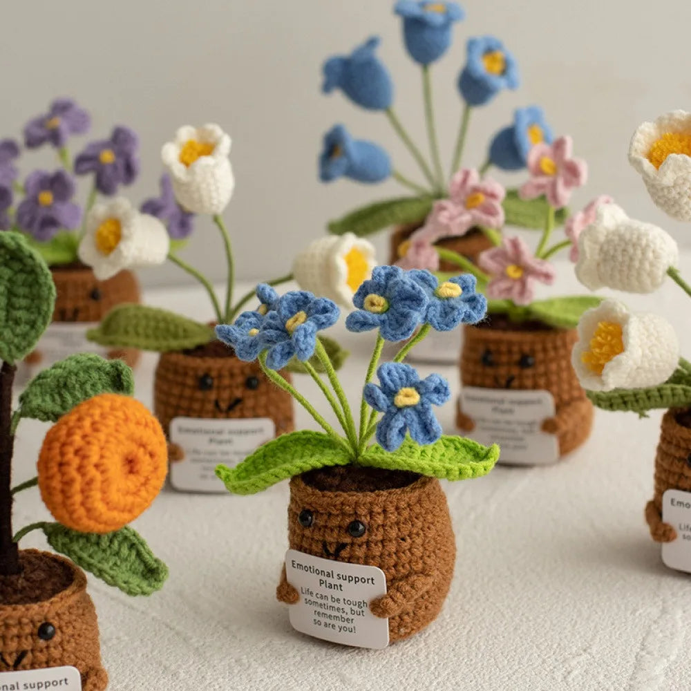 Crochet Knitted Flower Plant Pot - Desktop Emotional Support Gift Positivity Words of Encouragement Ornament - Perfect Gift
