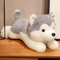 30/40/50cm Cute Dog Puppy Husky Wolf Plush Soft Toy