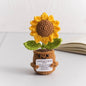 Crochet Knitted Flower Plant Pot - Desktop Emotional Support Gift Positivity Words of Encouragement Ornament - Perfect Gift