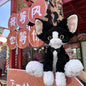 30/40cm Large Cat Plush – Black White Cute Cat Kitten Soft Toy