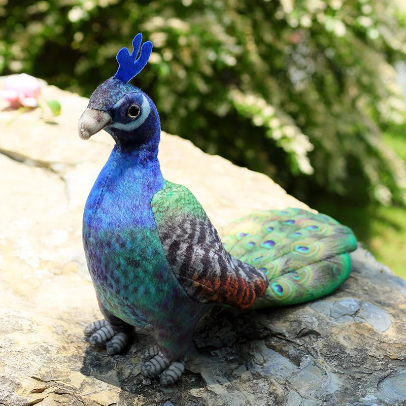 Lifelike Bird Plush 20-30cm–Parrot, Peacock, Pelican, Eagle, Cockatoo, Vulture & More Soft Toys