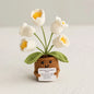 Crochet Knitted Flower Plant Pot - Desktop Emotional Support Gift Positivity Words of Encouragement Ornament - Perfect Gift