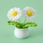 Crochet Knitted Artificial Flower Plant in Pot - Hand Woven Potted Desk Desktop Home Decor Gift Ornament