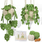 Crochet Hanging Plant Kit for Beginners – Includes Yarn, Tools & Video Tutorial