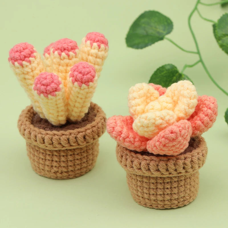 3/6pcs DIY Beginners Plant Succulent Crochet Starter Kit