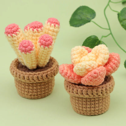 3/6pcs DIY Beginners Plant Succulent Crochet Starter Kit