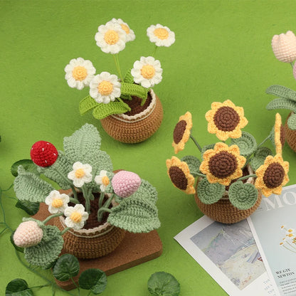 DIY Crochet Flower Plant Pot Kit – Sunflowers Tulips Daisies Designs, Beginners Set