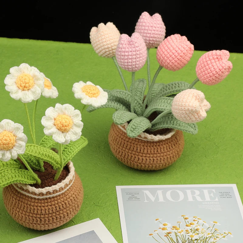 DIY Crochet Flower Plant Pot Kit – Sunflowers Tulips Daisies Designs, Beginners Set