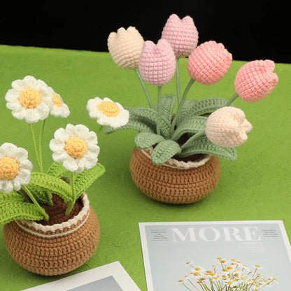 DIY Crochet Flower Plant Pot Kit – Sunflowers Tulips Daisies Designs, Beginners Set
