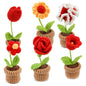 DIY Crochet Potted Flower Kit – Make 6 Plants Yellow / Red / Pink Flowers