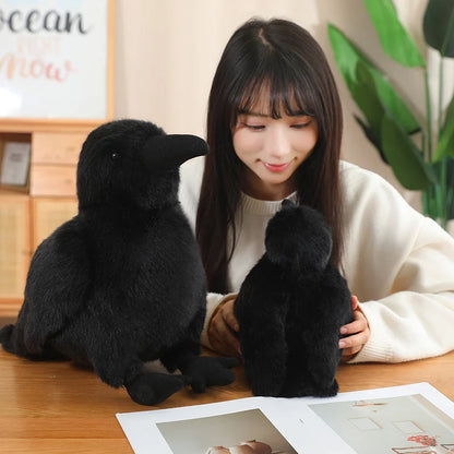 Realistic Crow Raven Plush – 15cm or 20cm Black Bird Soft Toy