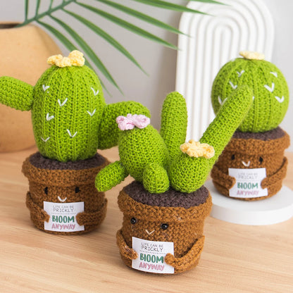 Crochet Knitted Cactus Flower Plant Pot - Desktop Emotional Support Gift Positivity Words of Encouragement Ornament - Perfect Gift