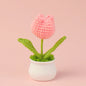 Crochet Knitted Artificial Flower Plant in Pot - Hand Woven Potted Desk Desktop Home Decor Gift Ornament