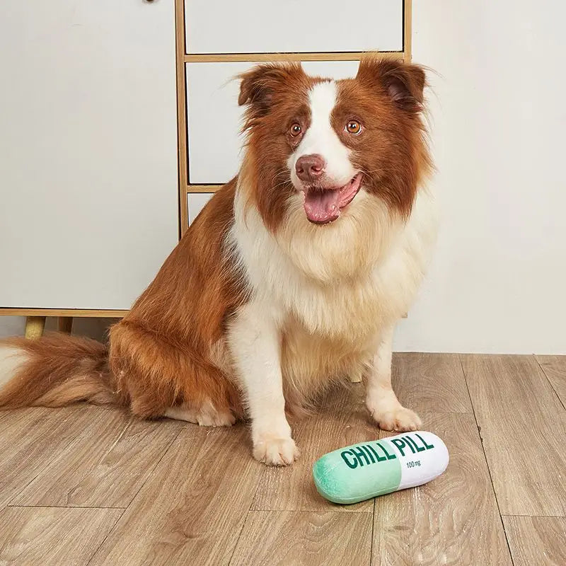 Funny Squeaky Dog Toy Chill Pill Tablet Shaped Pet Dog Plush Toy Gift Comedy Silly