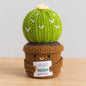 Crochet Knitted Cactus Flower Plant Pot - Desktop Emotional Support Gift Positivity Words of Encouragement Ornament - Perfect Gift