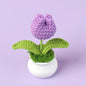 Crochet Knitted Artificial Flower Plant in Pot - Hand Woven Potted Desk Desktop Home Decor Gift Ornament
