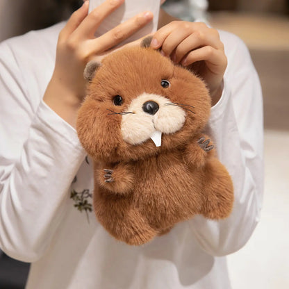 22-35cm Marmot Plush Soft Toy – Chubby Groundhog Plushie