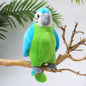 Lifelike Bird Plush 20-30cm–Parrot, Peacock, Pelican, Eagle, Cockatoo, Vulture & More Soft Toys