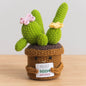 Crochet Knitted Cactus Flower Plant Pot - Desktop Emotional Support Gift Positivity Words of Encouragement Ornament - Perfect Gift